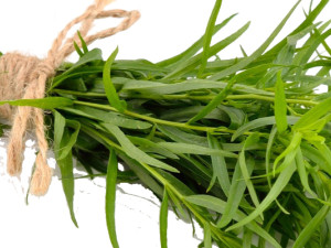 Estragon - Une Herbe Magique avec une Touche de Dragon!