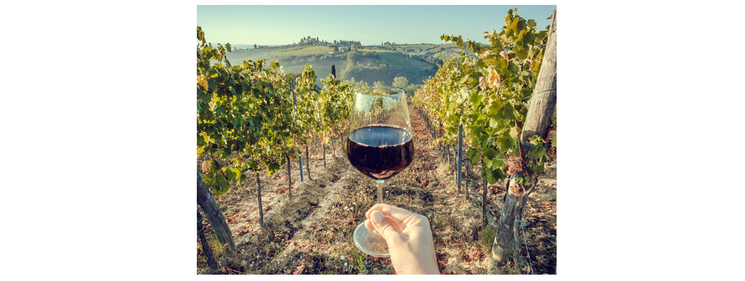 Tout Savoir sur le Vin Vegan