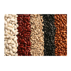 Haricots