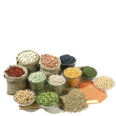 Pâtes & Légumineuses