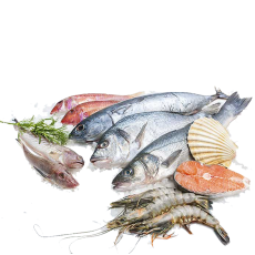 Viande-Poulet-Poisson