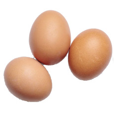 Œufs