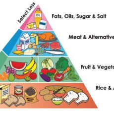 Aliments