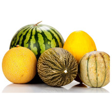Melons et pastèques