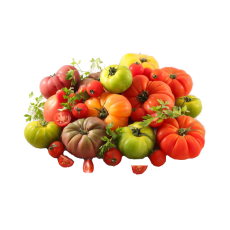 Tomates