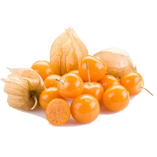 Physalis