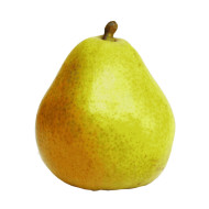 Poire d'Anjou