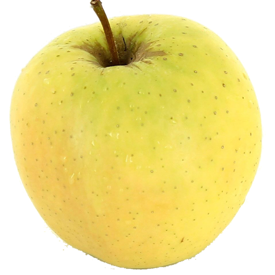 Pomme dorée