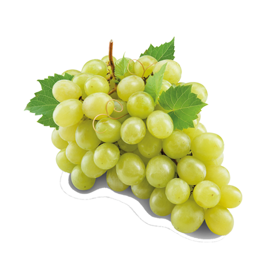Raisin Blanc