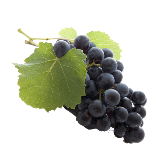 Raisin Noir