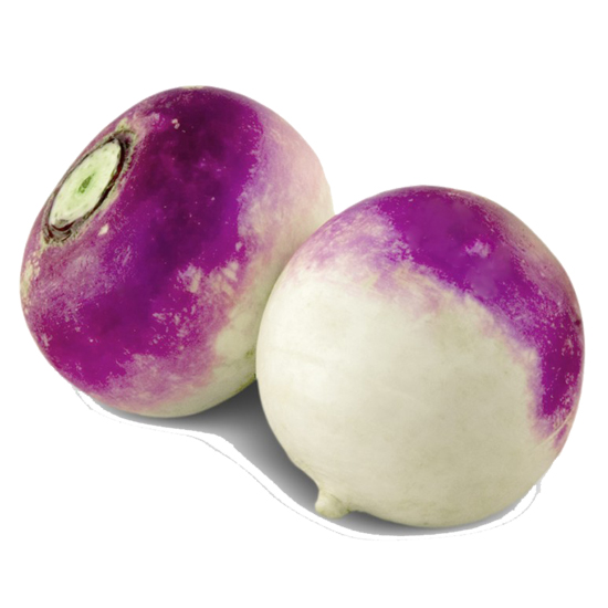 Rave Violette