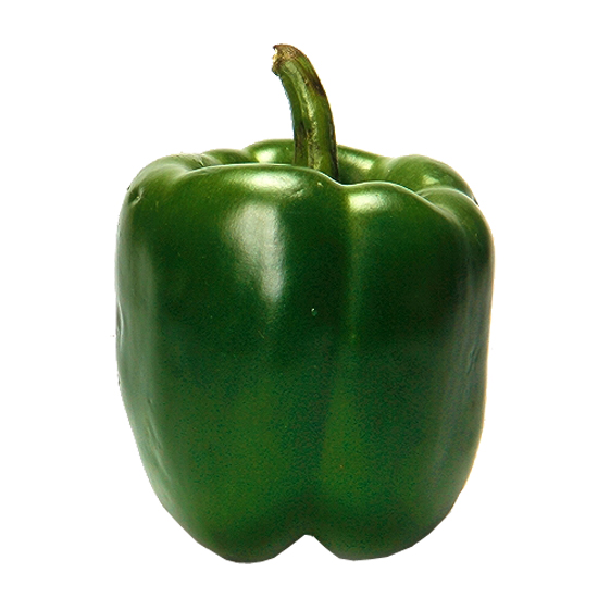 Paprika vert
