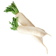 Radis Blanc